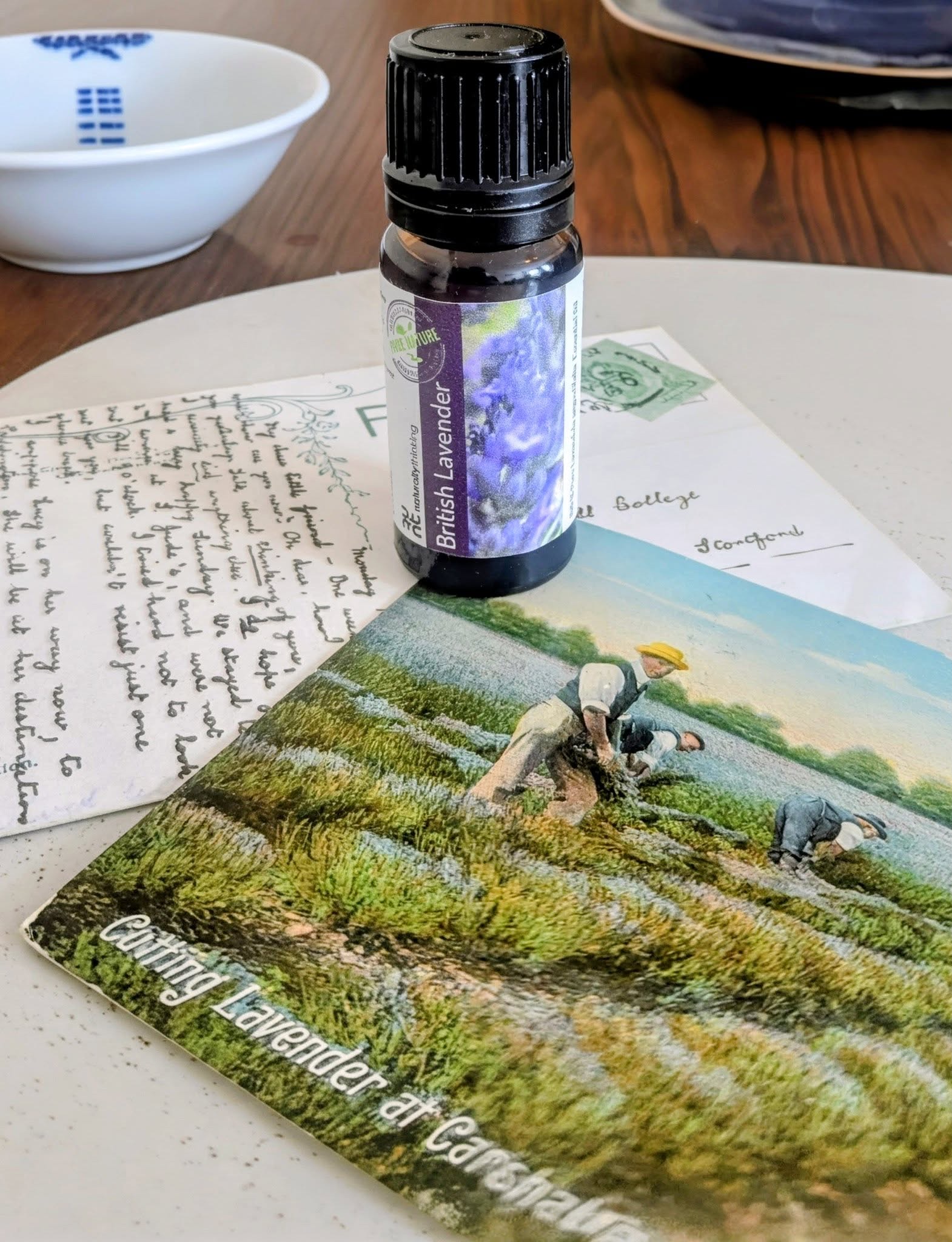 A small bottle of British lavender essential oil standing on an old hand-written letter and a vintage postcard titled Cutting Lavender at Carshalton